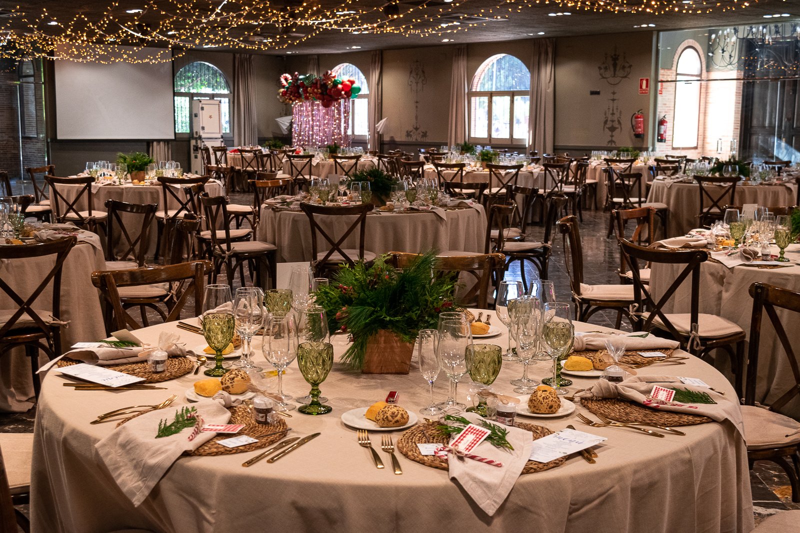 486061113_1250857733067616_927658638637400910_n